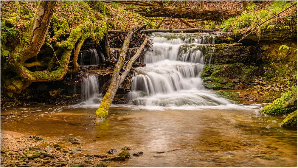 Wasserfall mit Baumstamm frontal