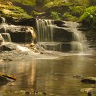 Wasserfall Monbachschlucht