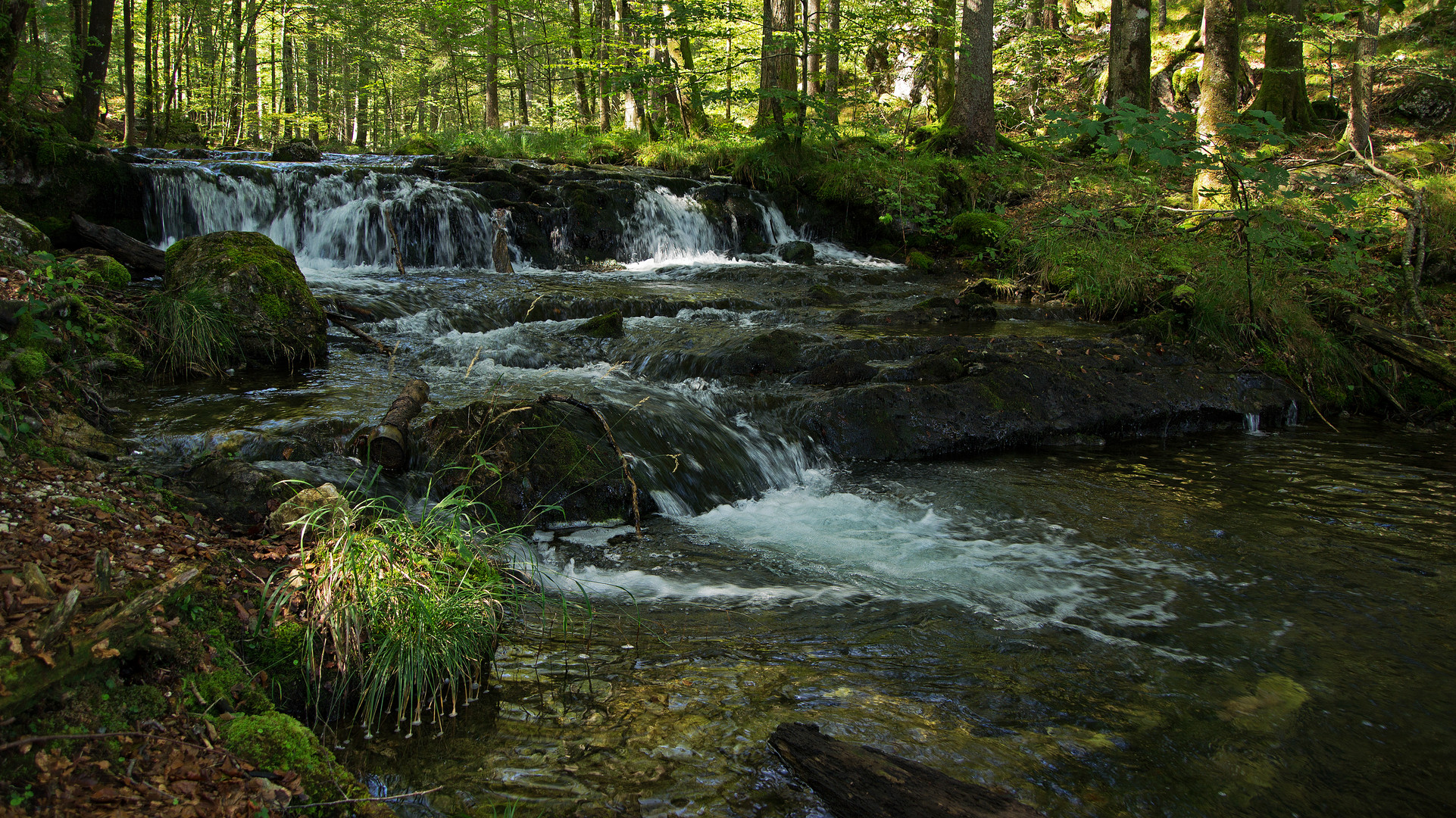 Wasserfall natürlich