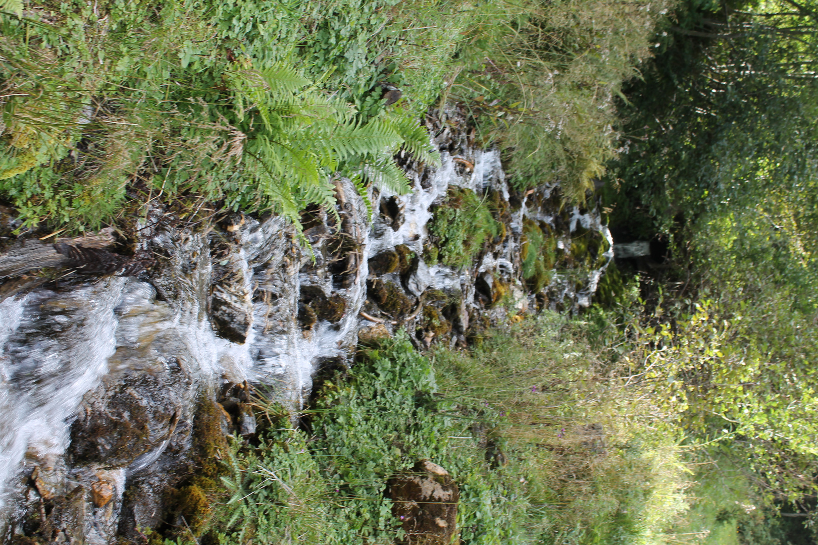 Wasserfall Natur