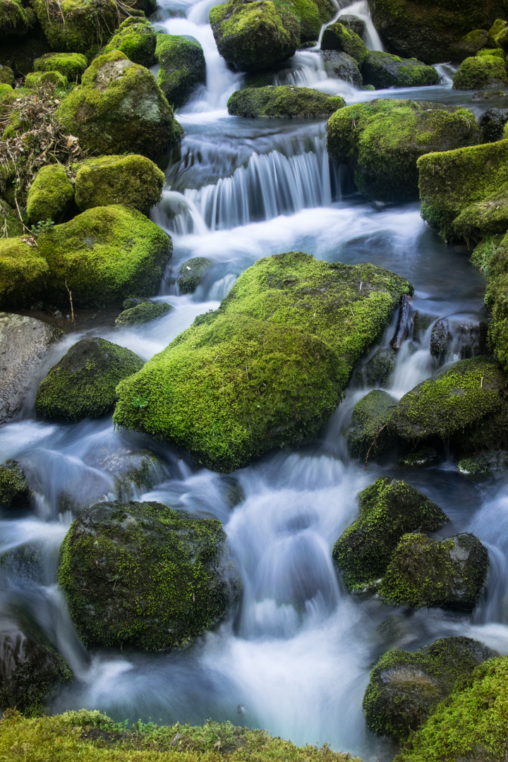 Wasserfall Nenderoth