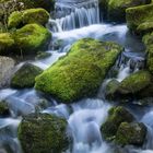 Wasserfall Nenderoth