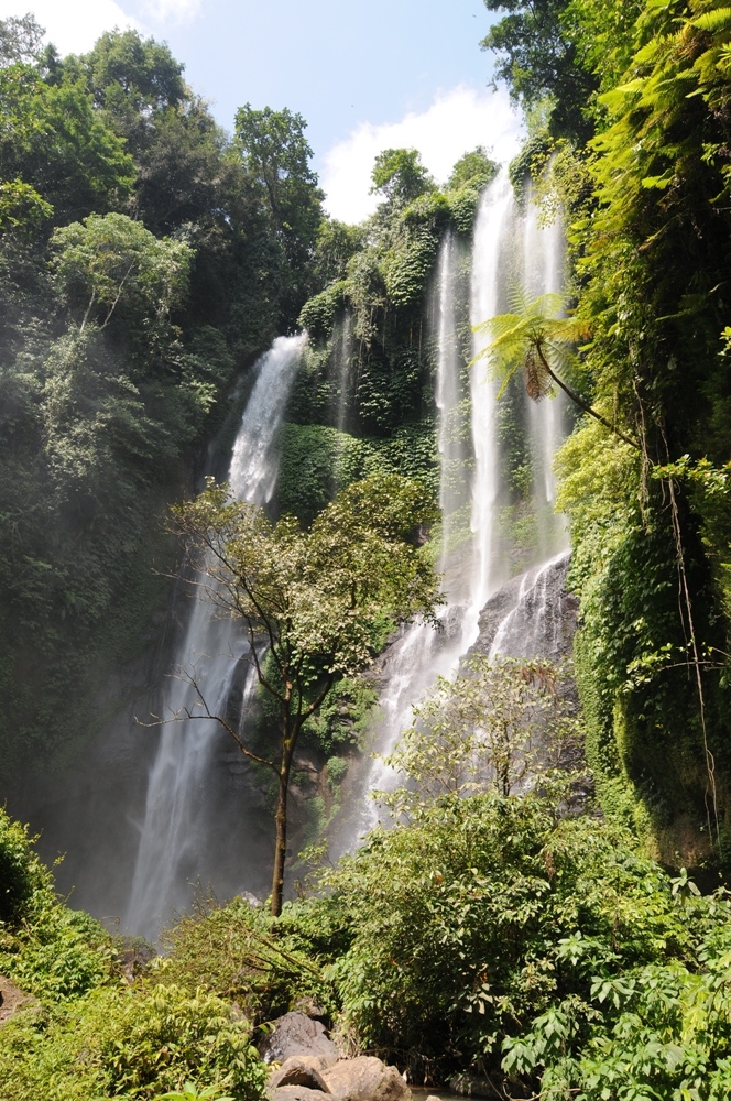 Wasserfall / Nord Bali