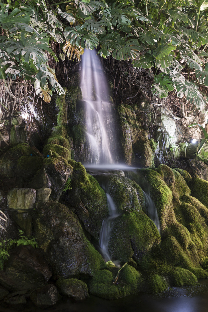 Wasserfall Palmengarten