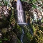 Wasserfall Palmengarten