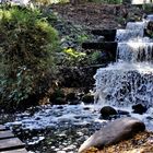 Wasserfall Planten un Blomen IV