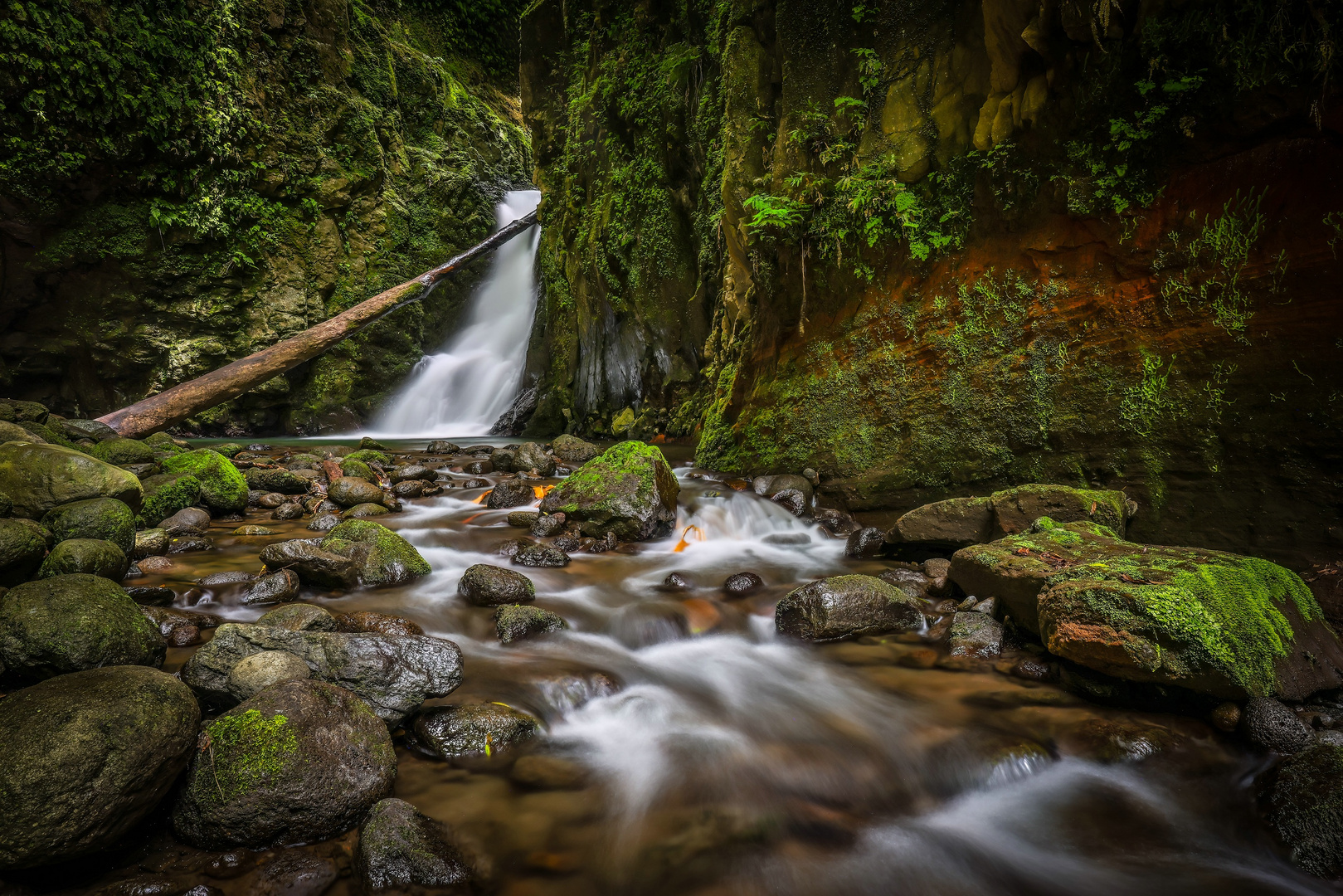 ~ Wasserfall - Sao Miguel II ~