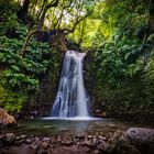 ~ Wasserfall - Sao Miguel V ~