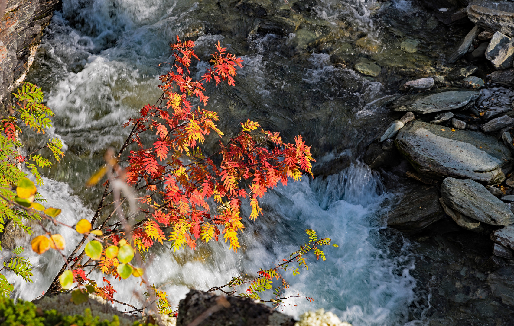 Wasserfall-Schmuck