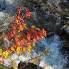 Wasserfall-Schmuck