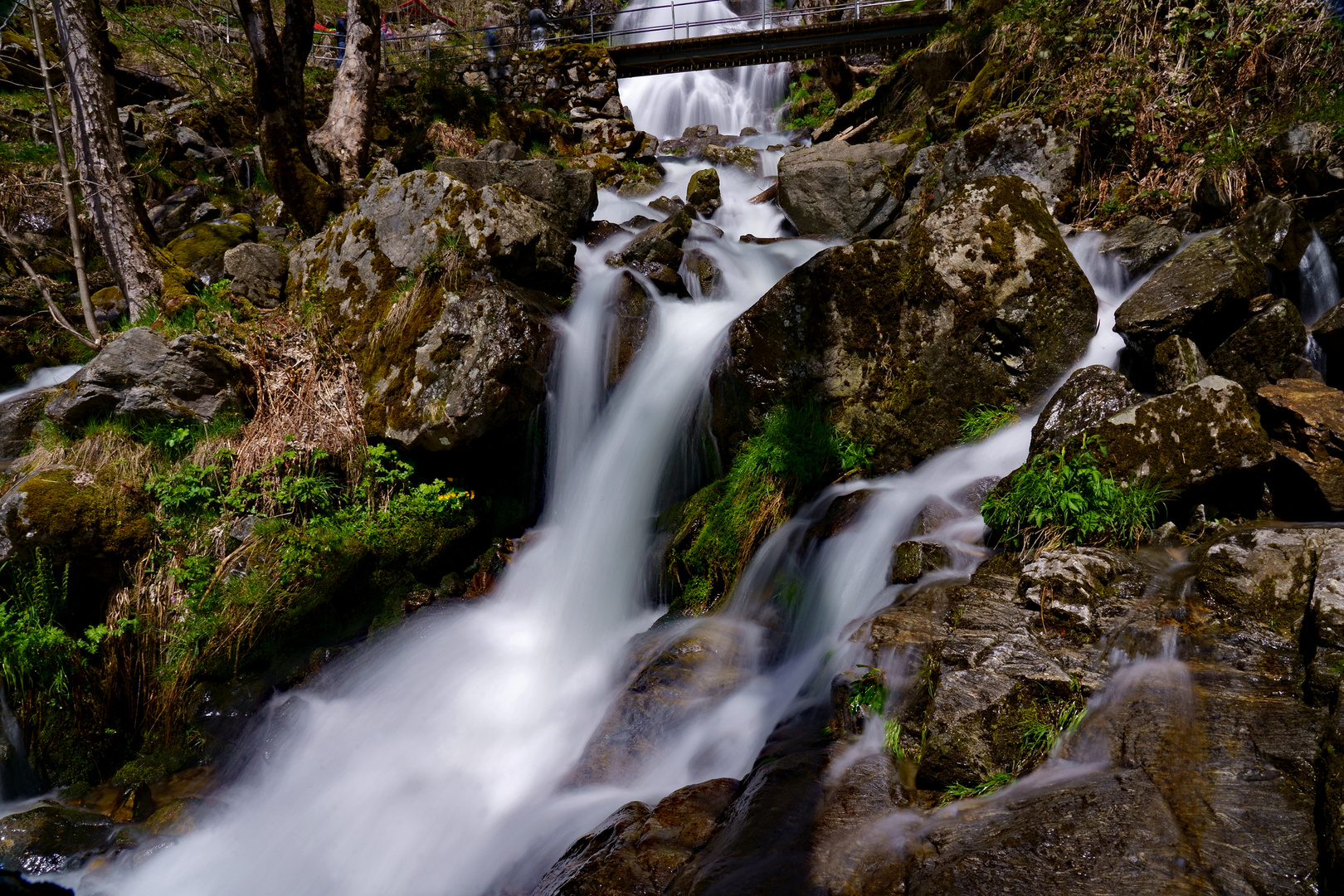 Wasserfall - Schwarzwald - ND