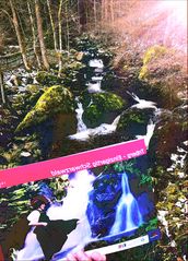 Wasserfall  Schwwald p30-17-fx Text