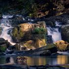 Wasserfall "Selkefall" im Harz im Sommer