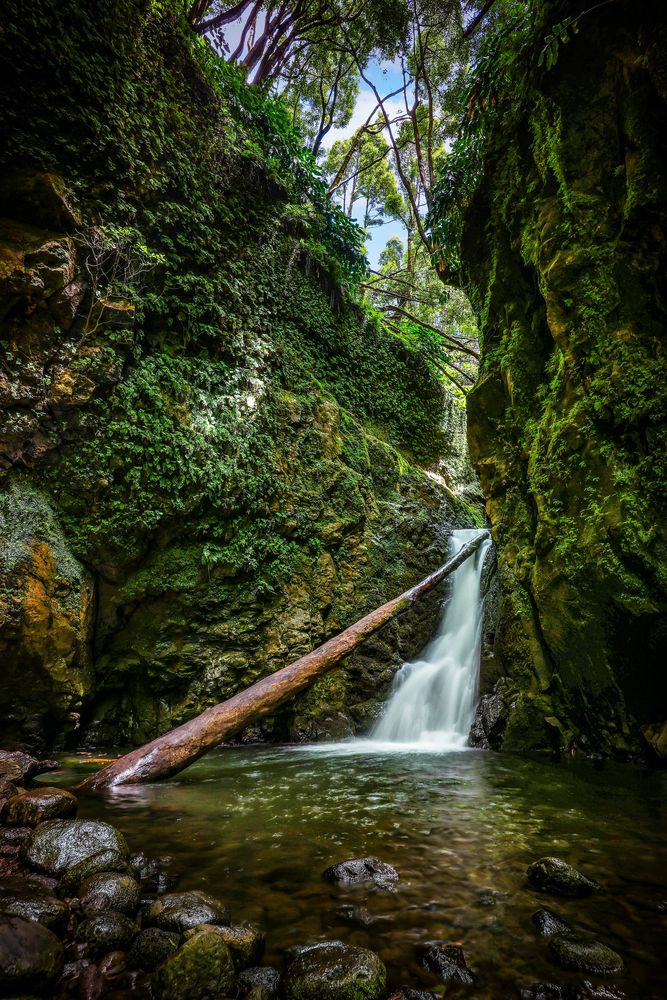 ~ Wasserfall - São Miguel IV ~