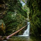 ~ Wasserfall - São Miguel IV ~