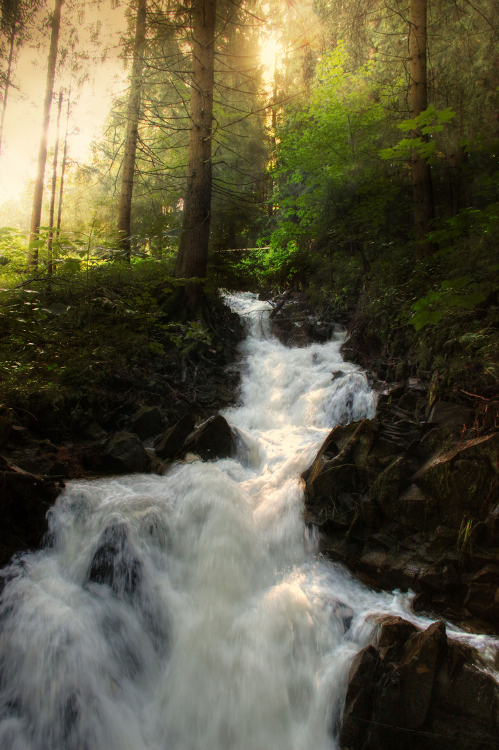 ~ Wasserfall Spiegeltaler Teich ~