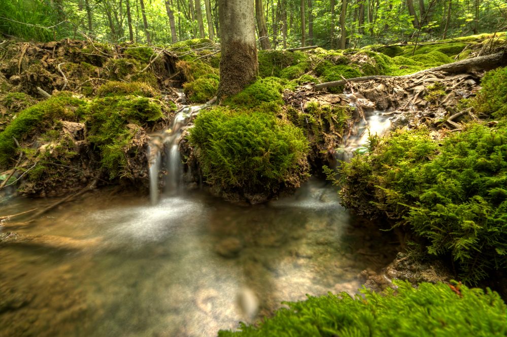 Wasserfall & Stromschnelle