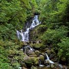 Wasserfall "Torc Waterfall" in Kerry, Irland