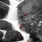 Wasserfall Triberg