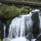 Wasserfall / Triberg (BW)