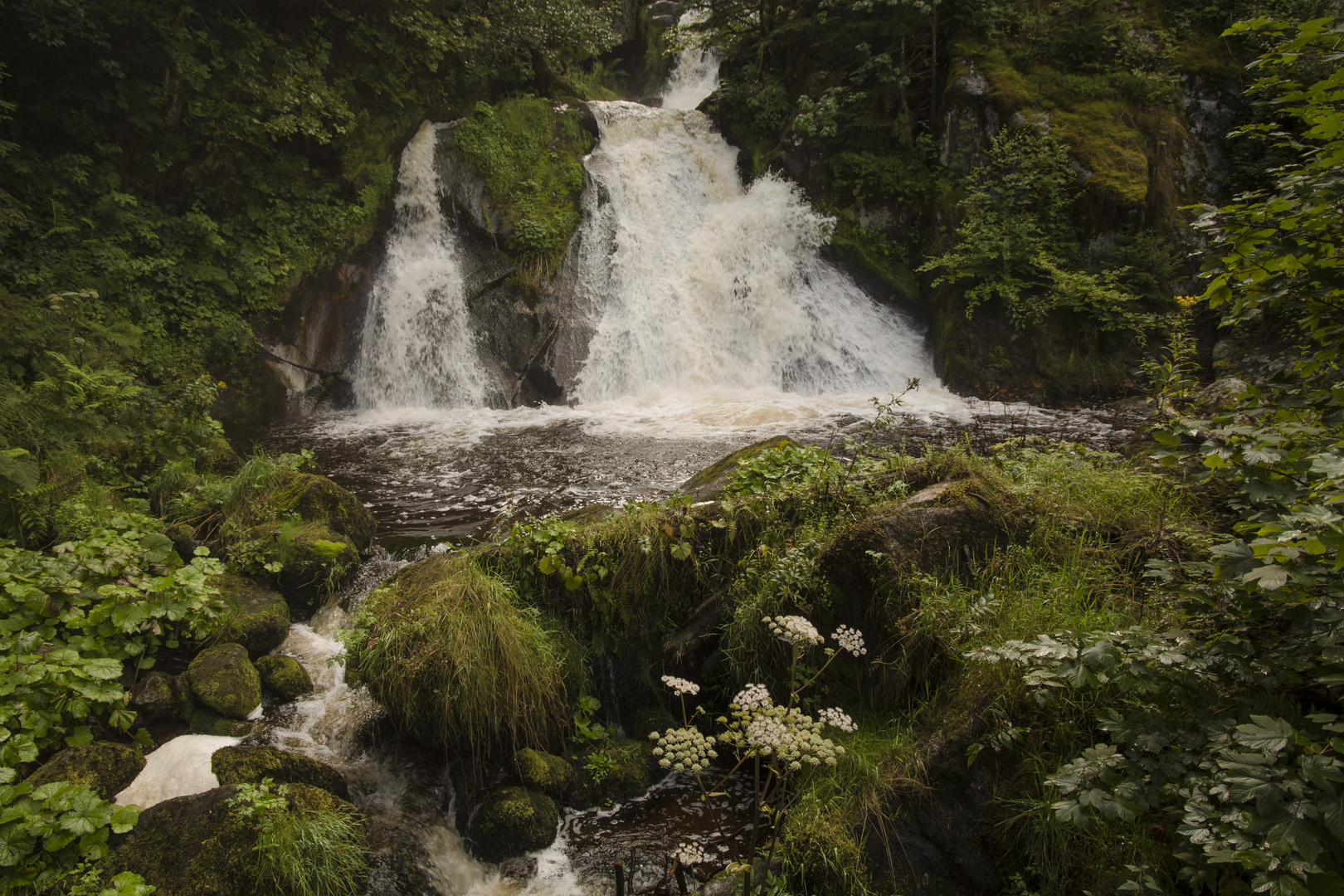 Wasserfall Triberg