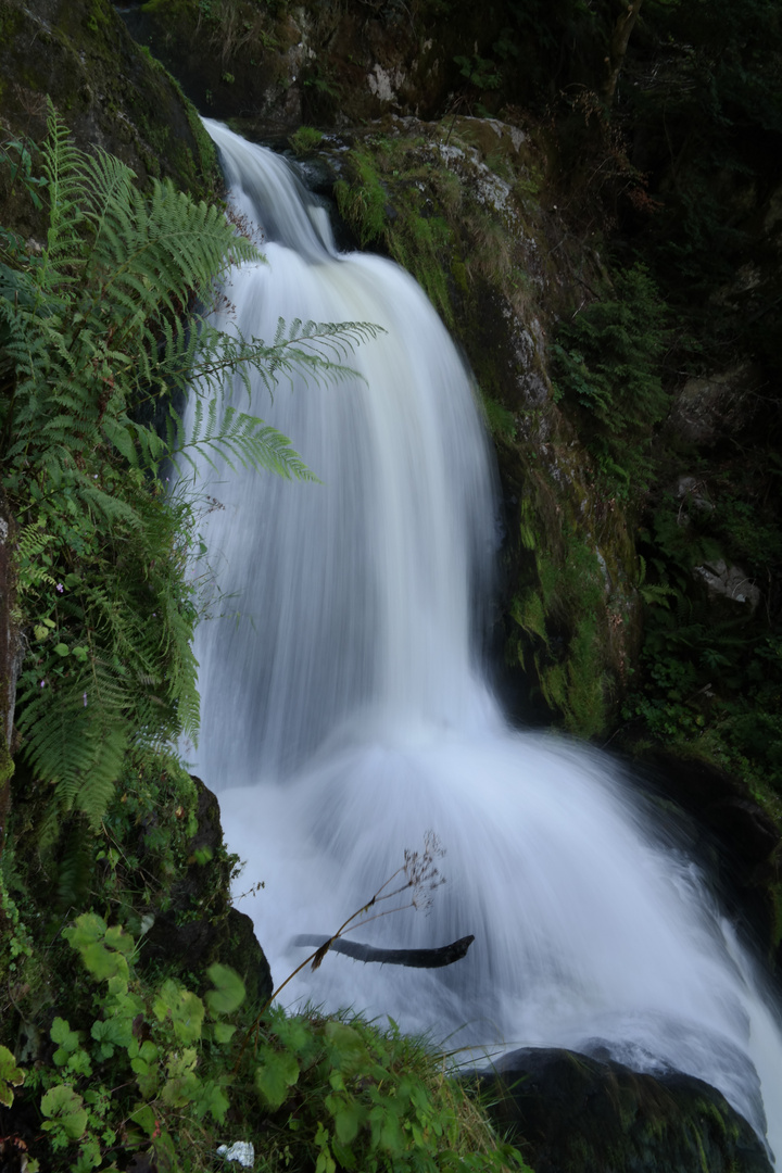 Wasserfall Trieberg