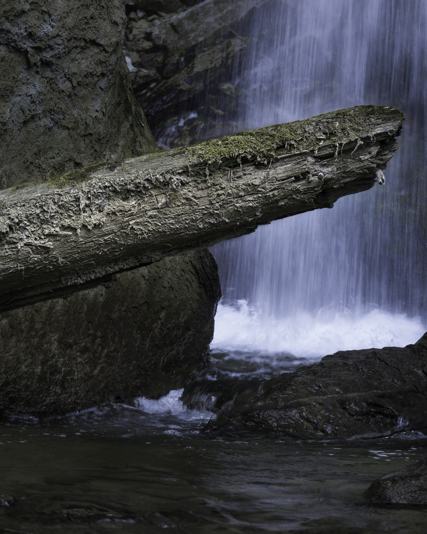 Wasserfall und Baumstamm