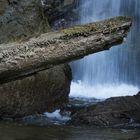 Wasserfall und Baumstamm