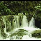 Wasserfall und Grashalm