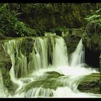 Wasserfall und Grashalm