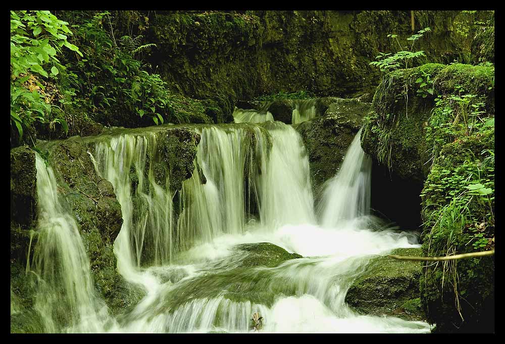 Wasserfall und Grashalm