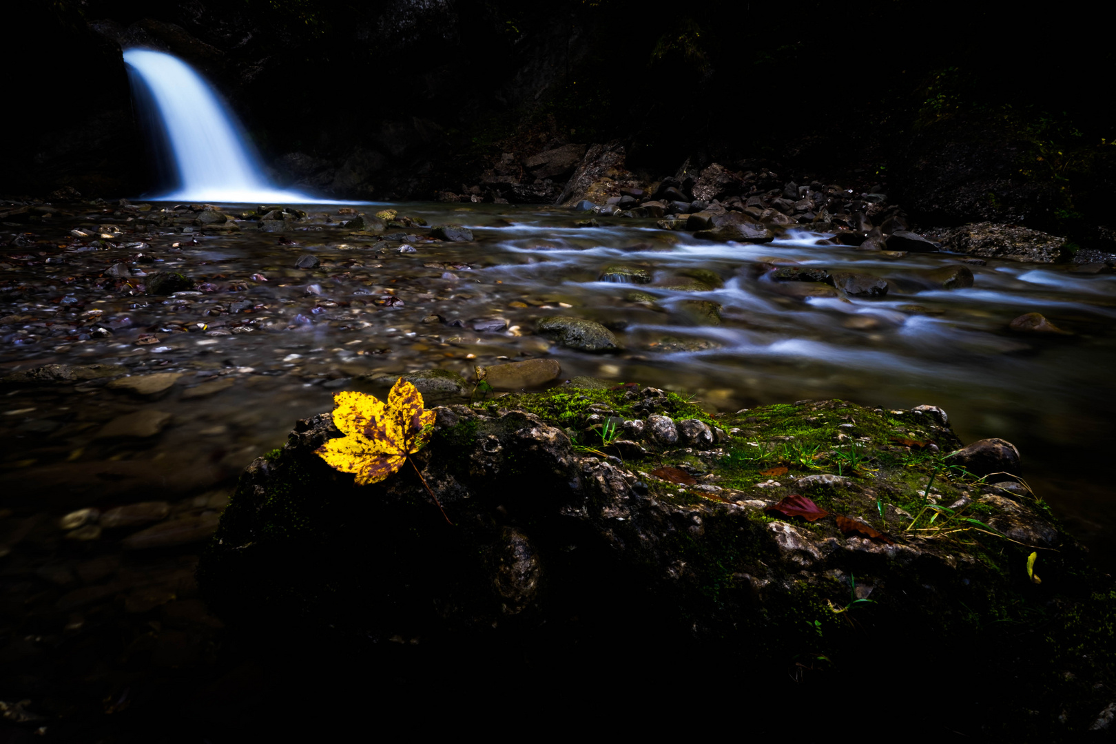 Wasserfall und Laub