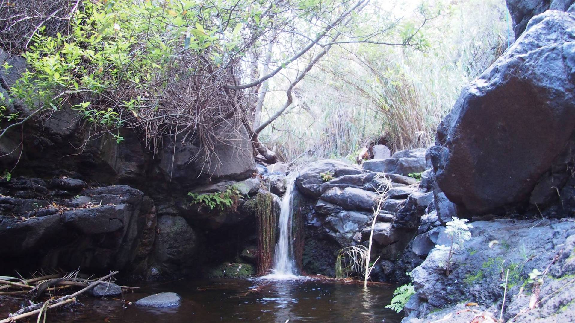 Wasserfall Valle Gran Rey