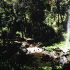 Wasserfall von hinten