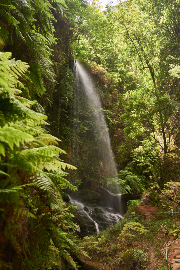 Wasserfall von Los Tilos La Palma