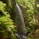 Wasserfall von Los Tilos La Palma