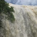 Wasserfall von Südamerika