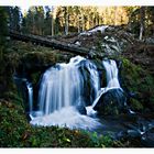 Wasserfall von Triberg #1