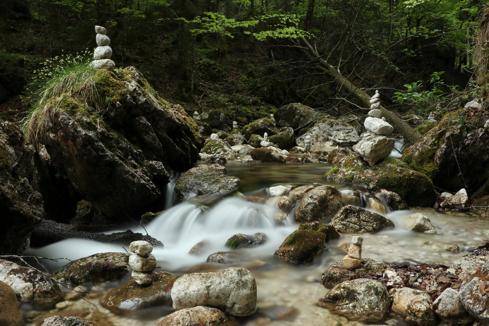 Wasserfall, Waldbachstrub