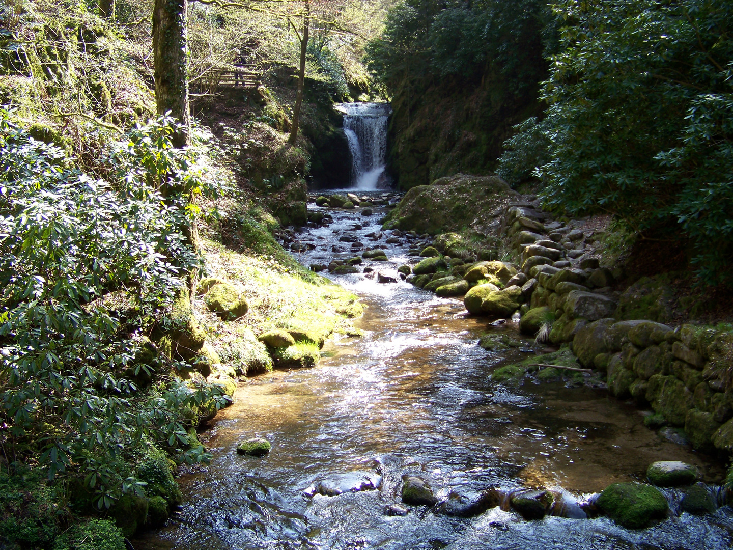 Wasserfall, warum in die Ferne......