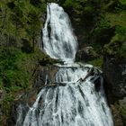 Wasserfall Wasserlochklamm Palfau