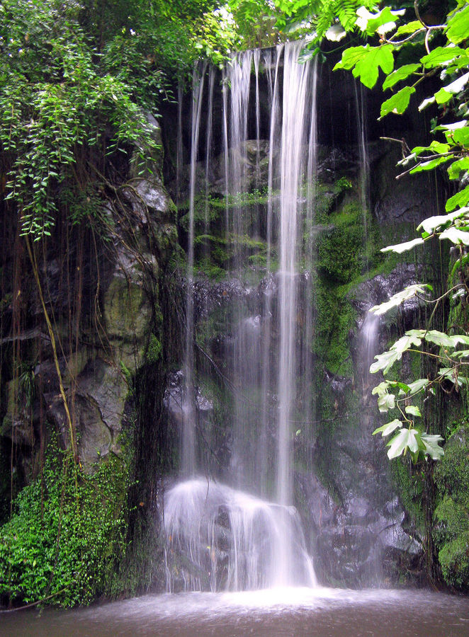 Wasserfall Zoo Arnheim