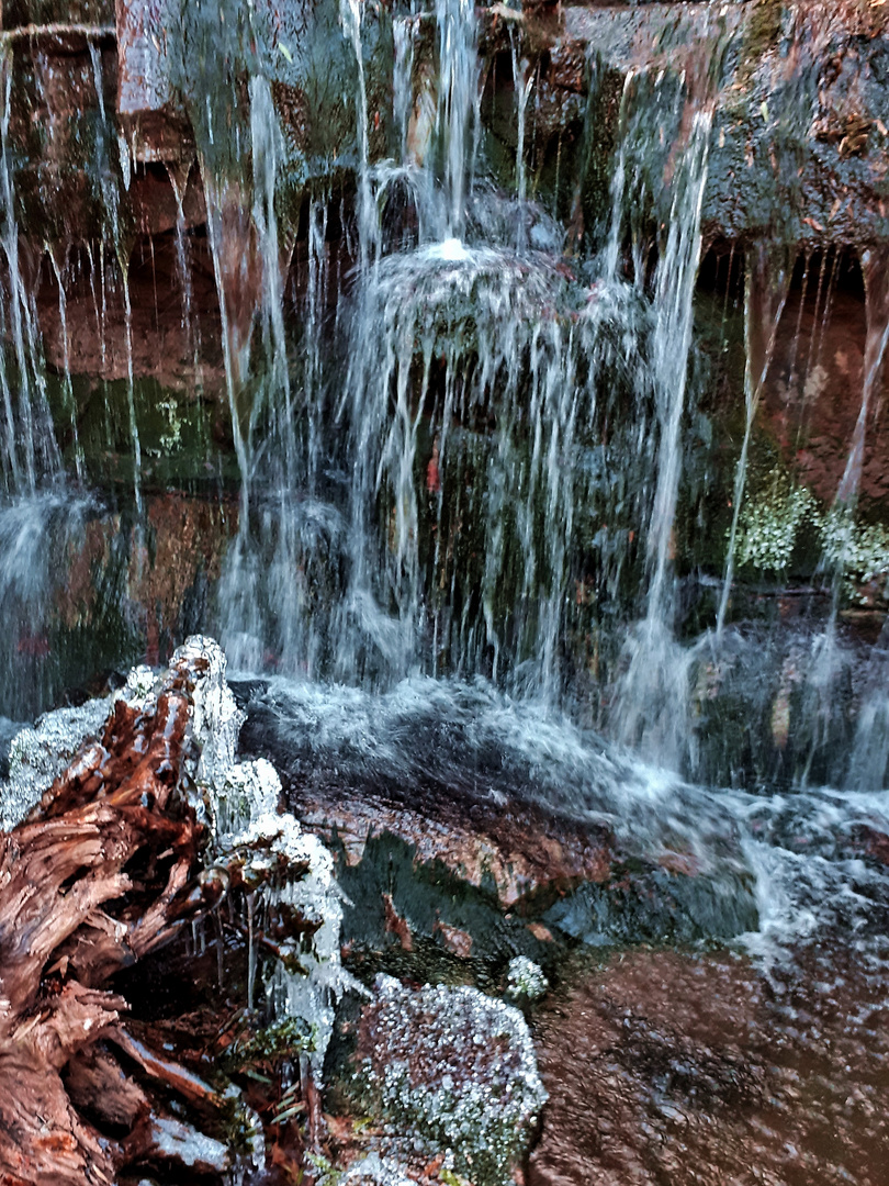 Wasserfall Zoo Heidelberg