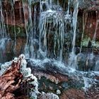 Wasserfall Zoo Heidelberg