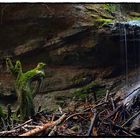 Wasserfall_Birwinken#10_190419