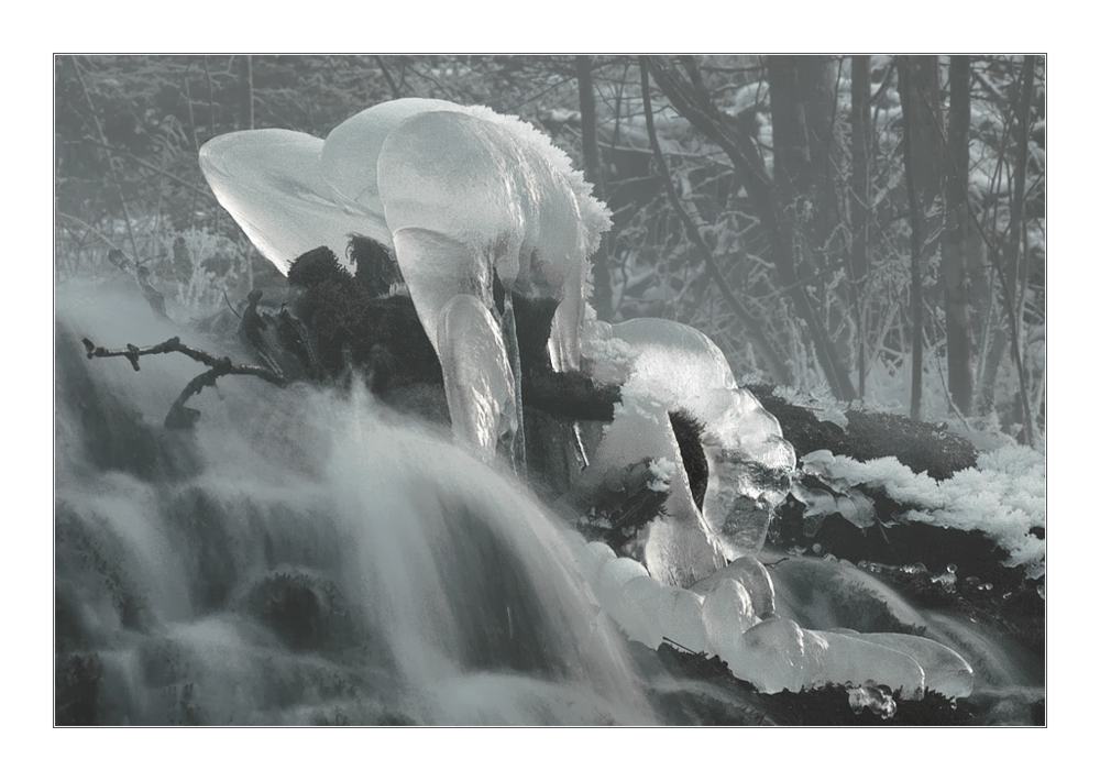 Wasserfallklettern bei - 8° kann nicht gesund sein.