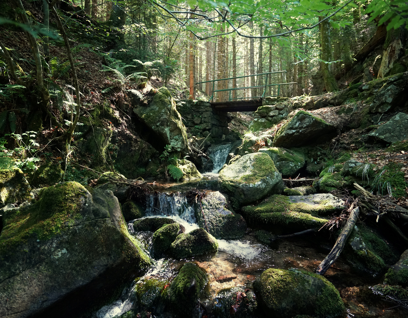 Wasserfallsteig am Feldberg