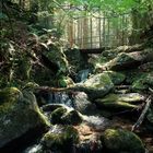 Wasserfallsteig am Feldberg