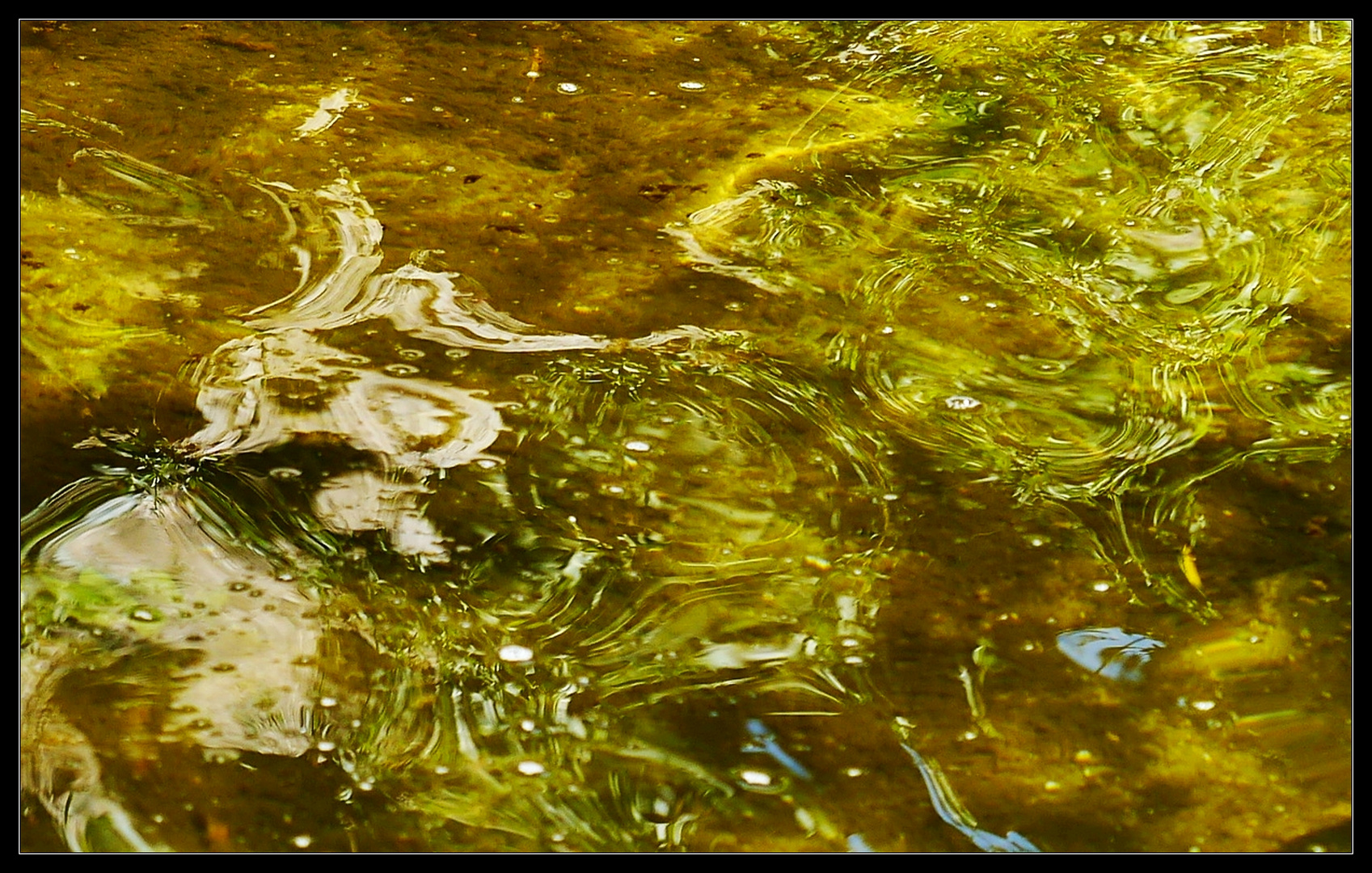 wasserfarben Foto & Bild | abstraktes, sonstiges, projekte Bilder auf