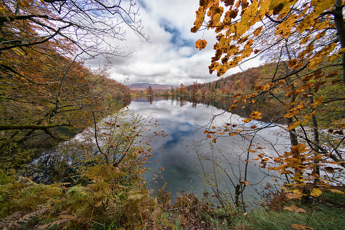 Wasserfarben 